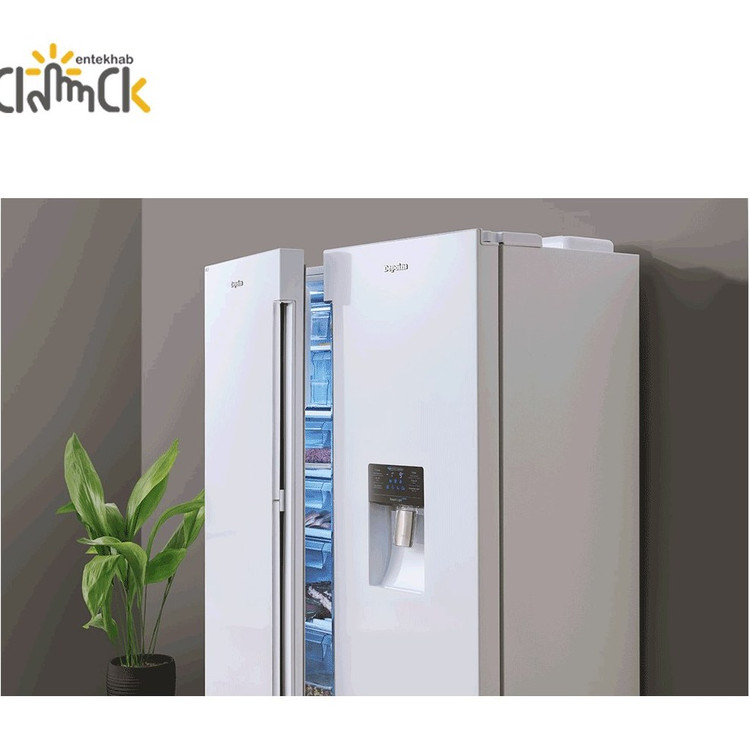 یخچال فریزر دوقلو دیپوینت مدل Max